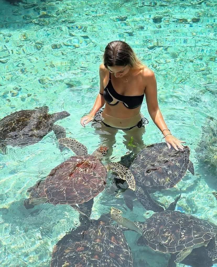 Salaam Cave limestone